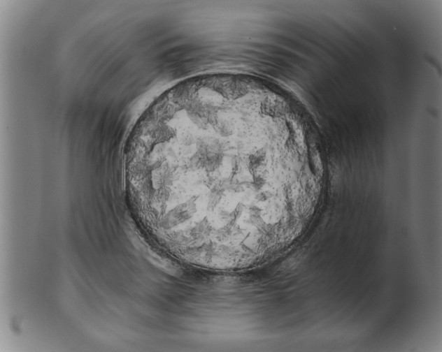 X0000101951371200808081456