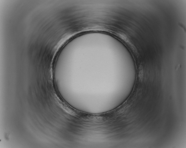 X0000101951372200808081456