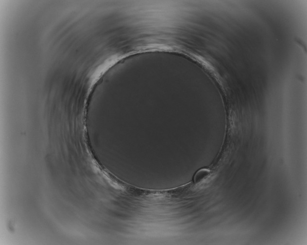 X0000101951373200808081456