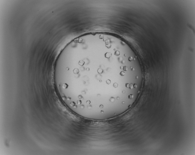 X0000101951374200808081456