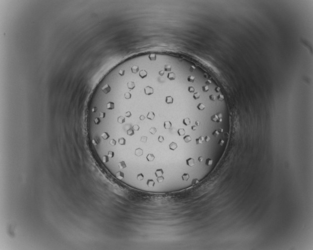 X0000101951375200808081456