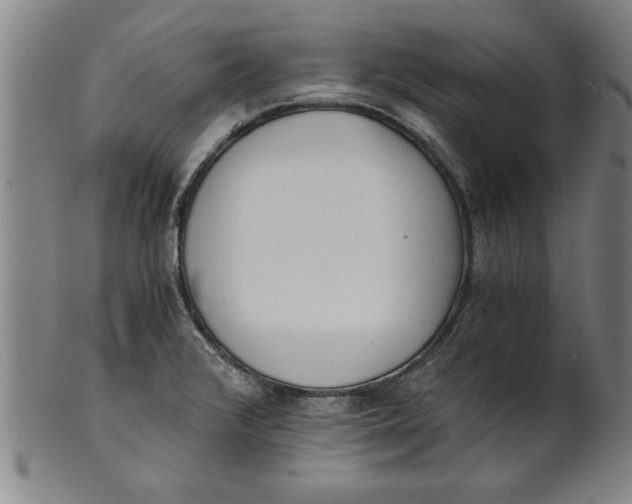 X0000101951376200808081456