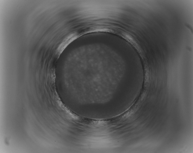 X0000101951377200808081456