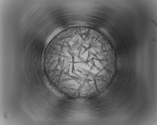 X0000101951378200808081456