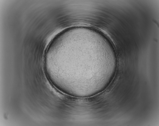 X0000101951379200808081456