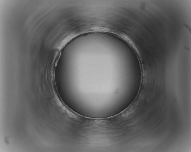 X0000101951381200808081456