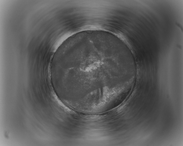 X0000101951382200808081456