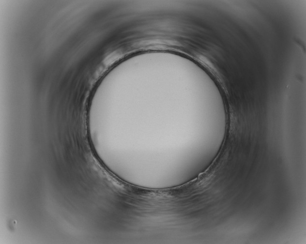 X0000101951384200808081456