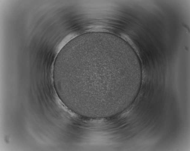 X0000101951386200808081456