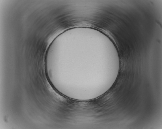 X0000101951387200808081456