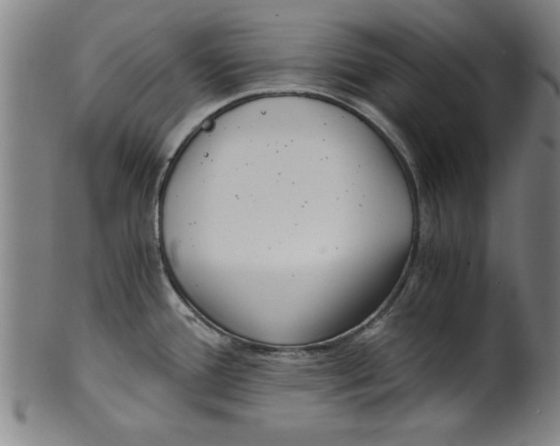 X0000101951388200808081456