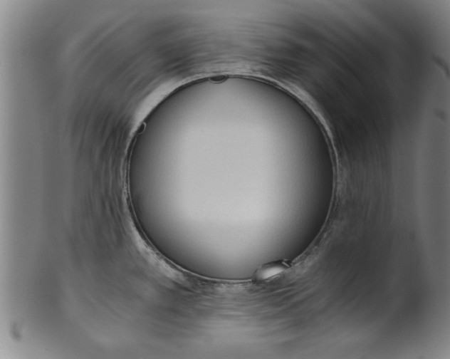 X0000101951389200808081456