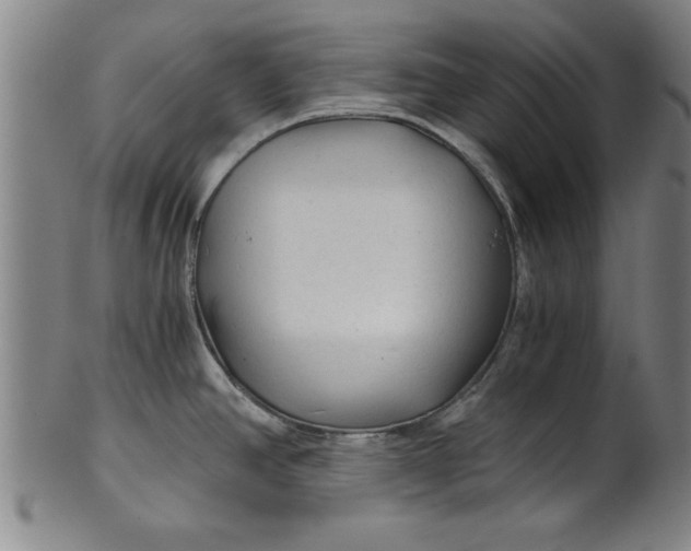 X0000101951390200808081456