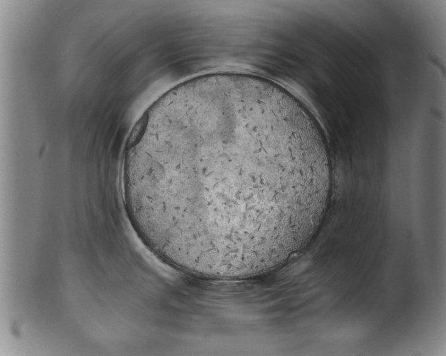 X0000101951391200808081456