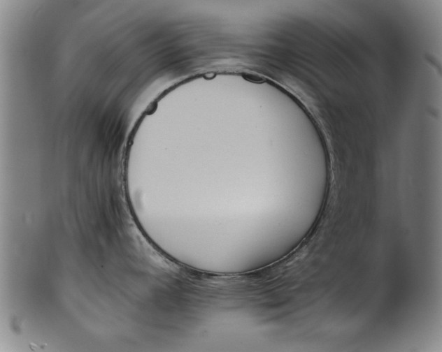 X0000101951392200808081456