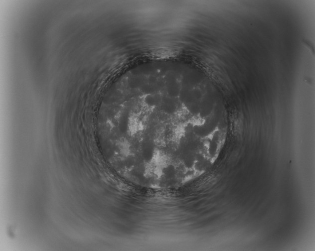 X0000101951393200808081455