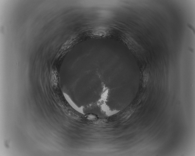 X0000101951394200808081455