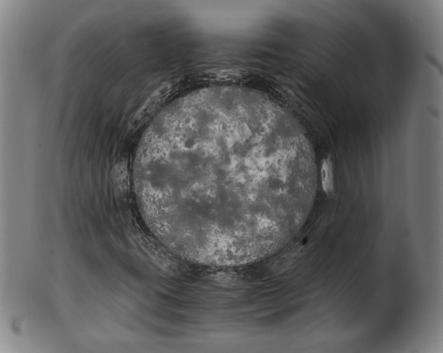 X0000101951395200808081455