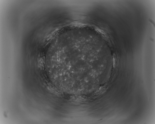 X0000101951397200808081455