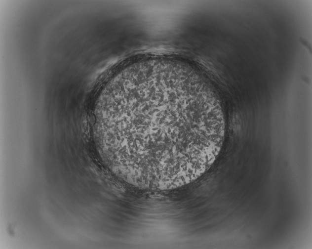 X0000101951398200808081455