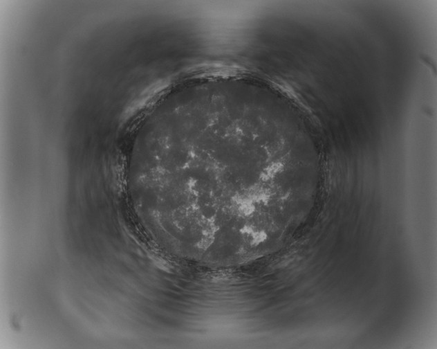 X0000101951399200808081455