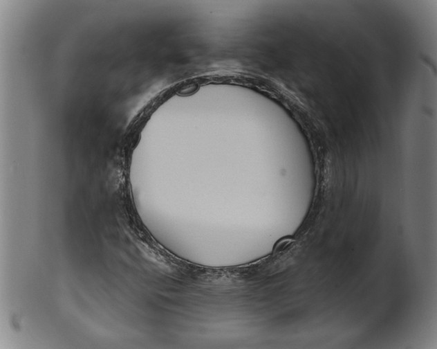 X0000101951400200808081455