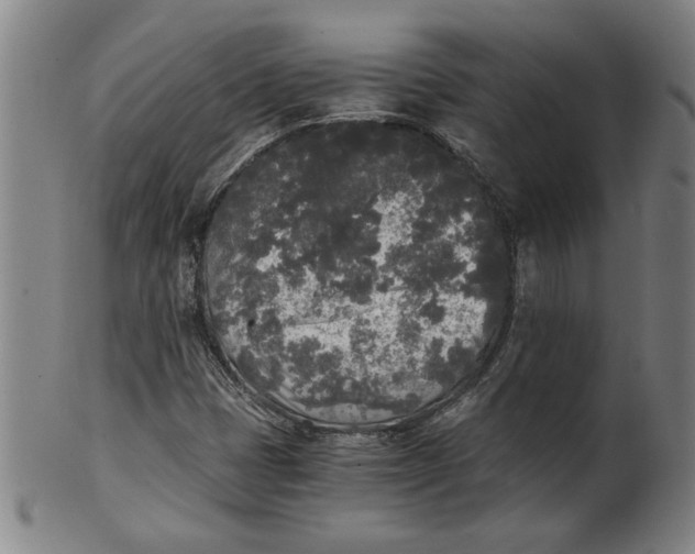 X0000101951401200808081455