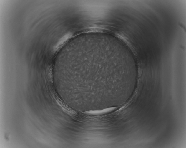 X0000101951403200808081455