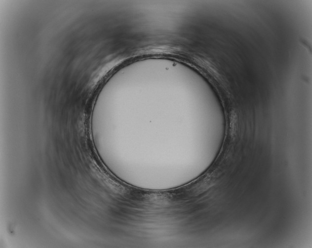 X0000101951404200808081455