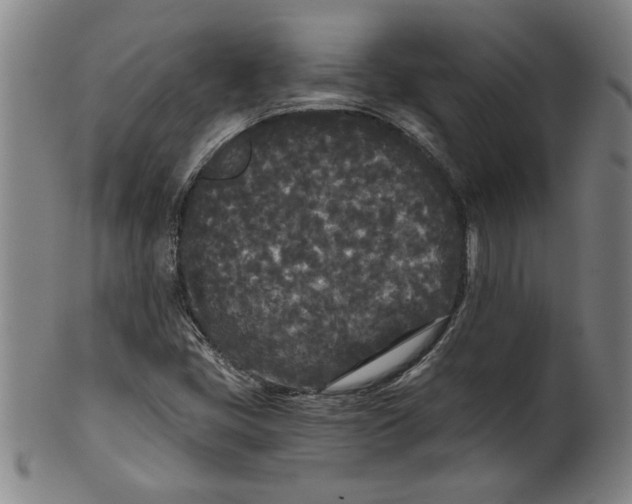 X0000101951405200808081455