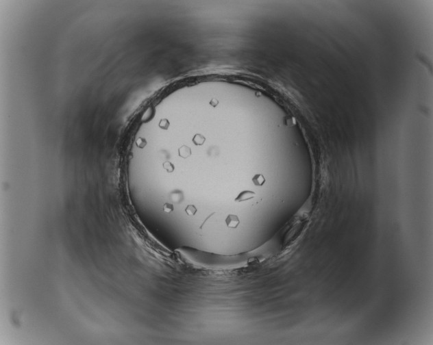 X0000101951406200808081455