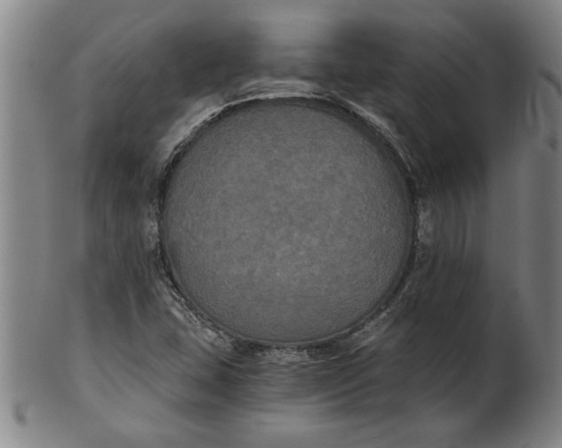 X0000101951407200808081455