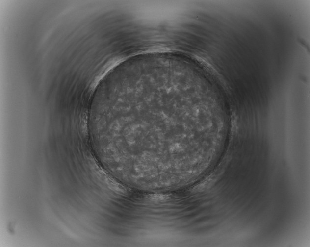 X0000101951409200808081455