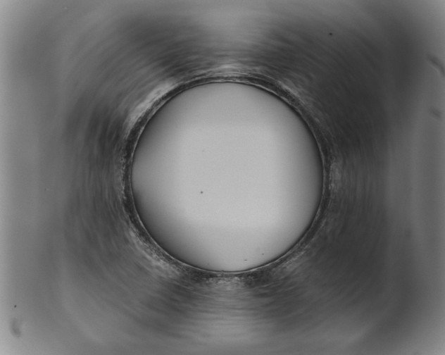 X0000101951410200808081455