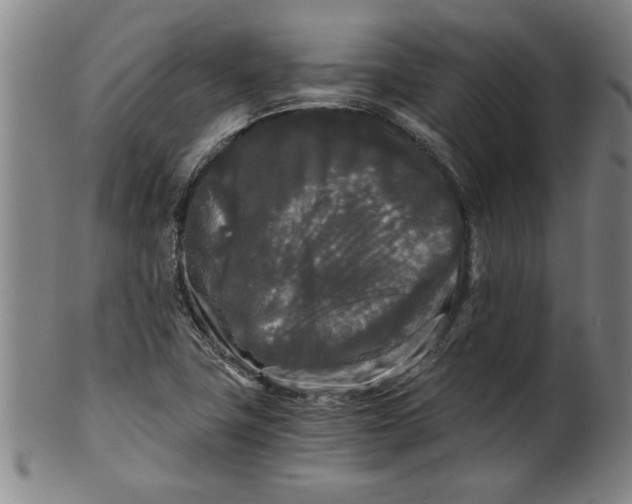 X0000101951411200808081455