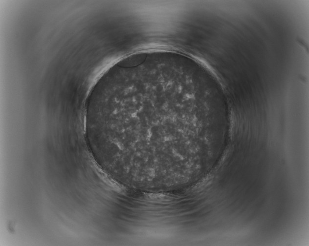 X0000101951413200808081455