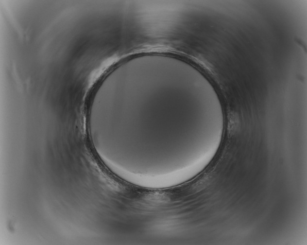 X0000101951414200808081455