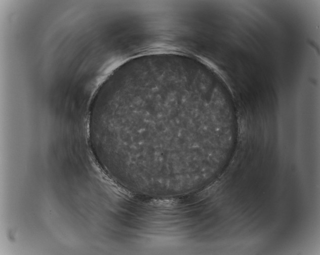 X0000101951415200808081455