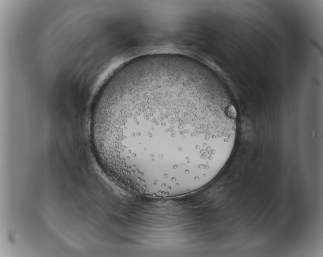 X0000101951416200808081455