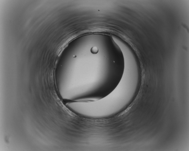 X0000101951417200808081455