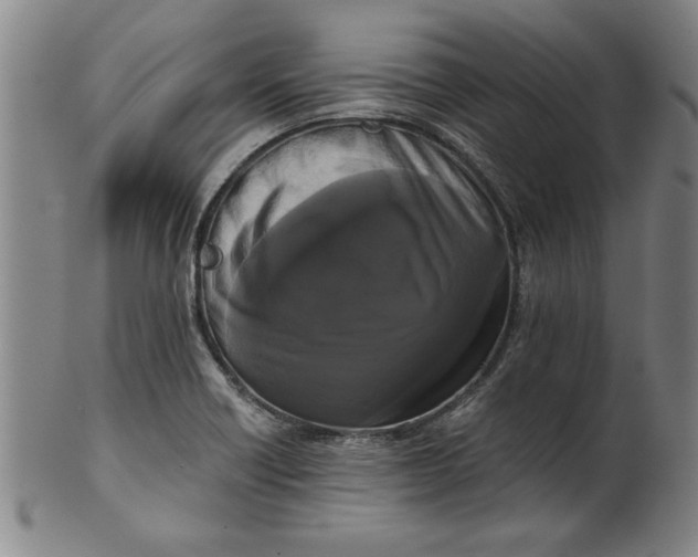 X0000101951418200808081455