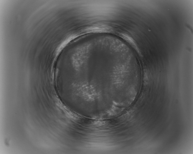 X0000101951419200808081455