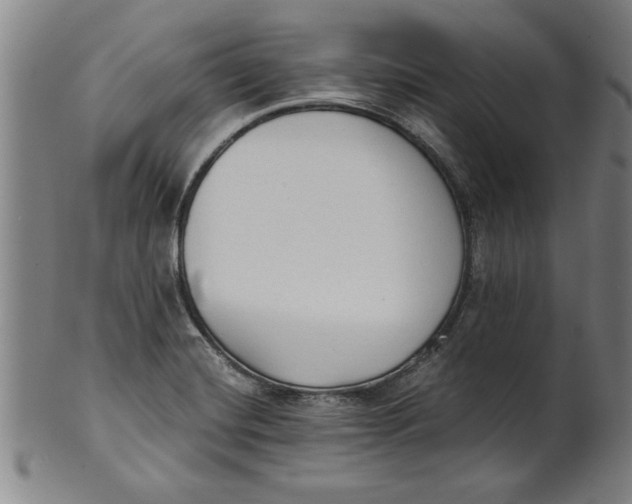 X0000101951420200808081455