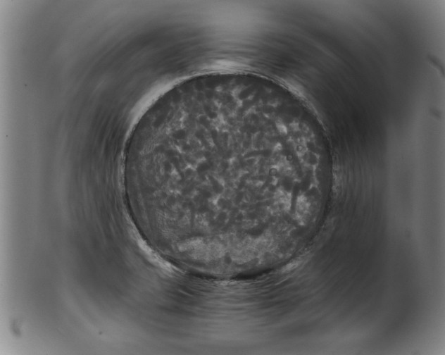 X0000101951421200808081455