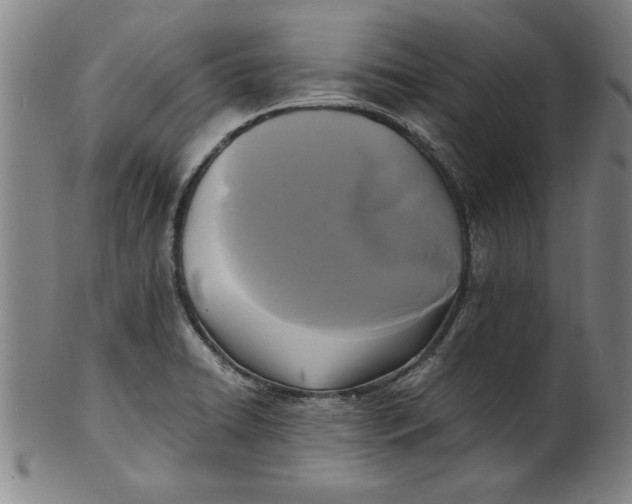 X0000101951422200808081455