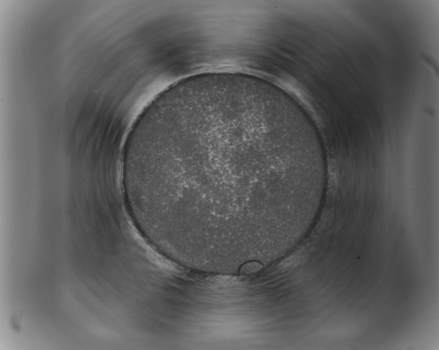 X0000101951424200808081455