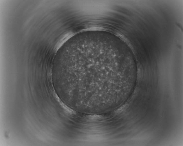 X0000101951425200808081455