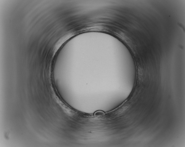 X0000101951426200808081455