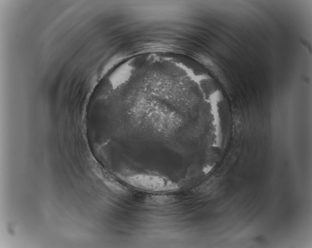 X0000101951427200808081456