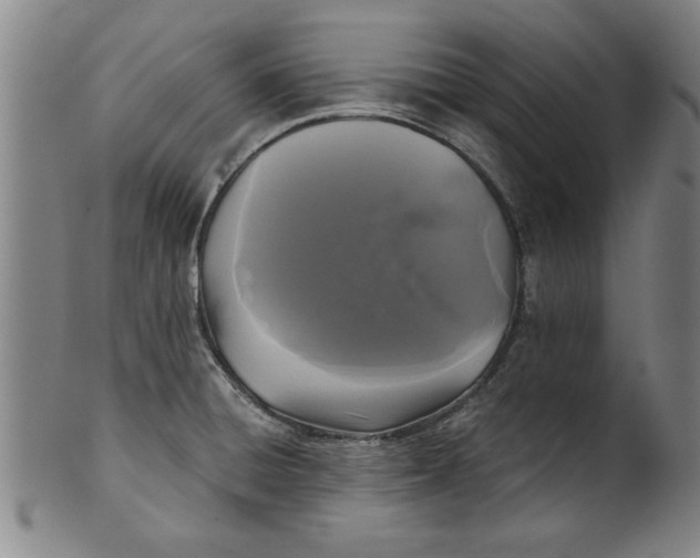 X0000101951428200808081456